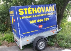 vlek